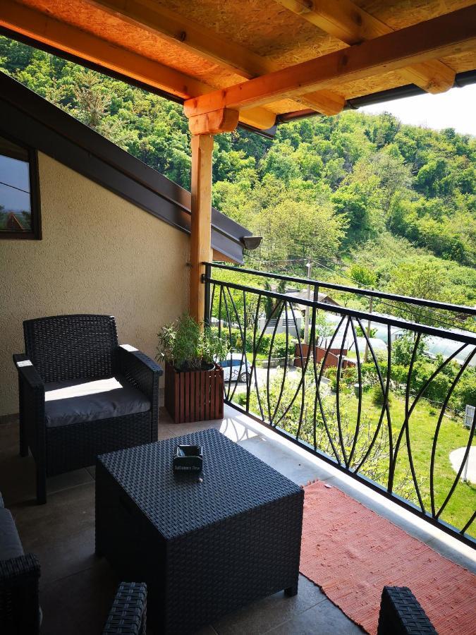 Apartment Snezana Jugovo